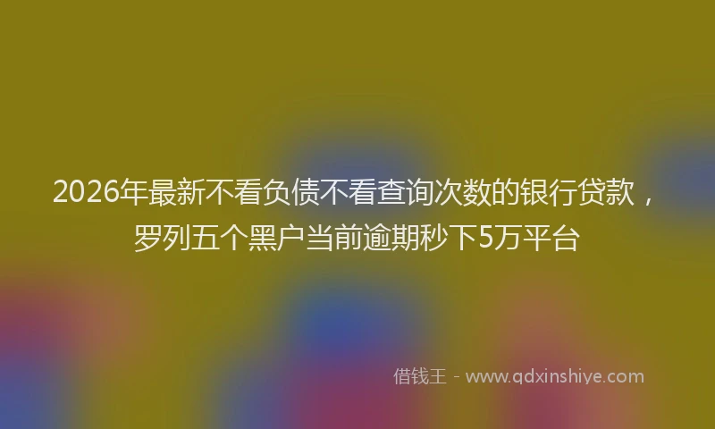 2026年最新不看负债不看查询次数的银行贷款,罗列五个黑户当前逾期秒下5万平台