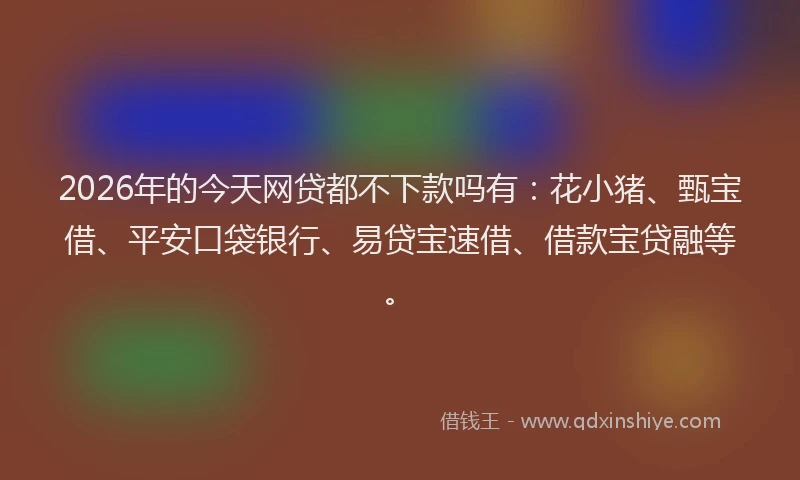 2026年的今天网贷都不下款吗有:花小猪、甄宝借、平安口袋银行、易贷宝速借、借款宝贷融等。