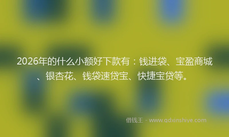 2026年的什么小额好下款有：钱进袋、宝盈商城、银杏花、钱袋速贷宝、快捷宝贷等。