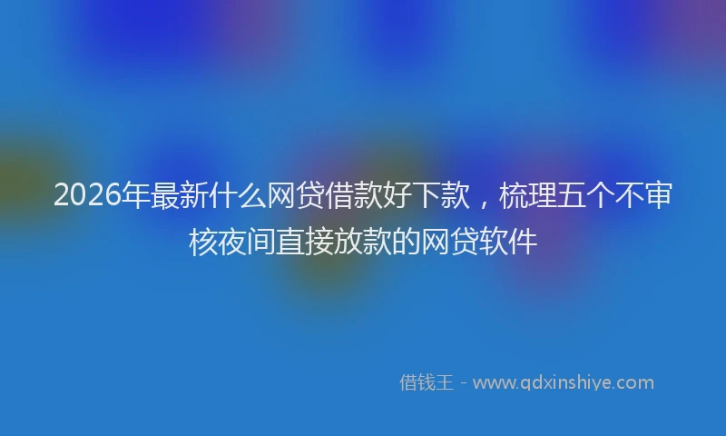2026年最新什么网贷借款好下款，梳理五个不审核夜间直接放款的网贷软件