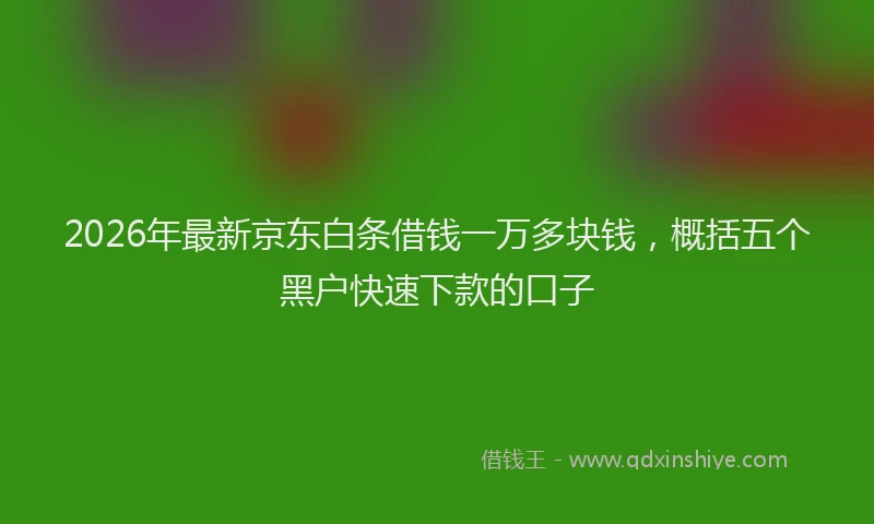 2026年最新京东白条借钱一万多块钱，概括五个黑户快速下款的口子