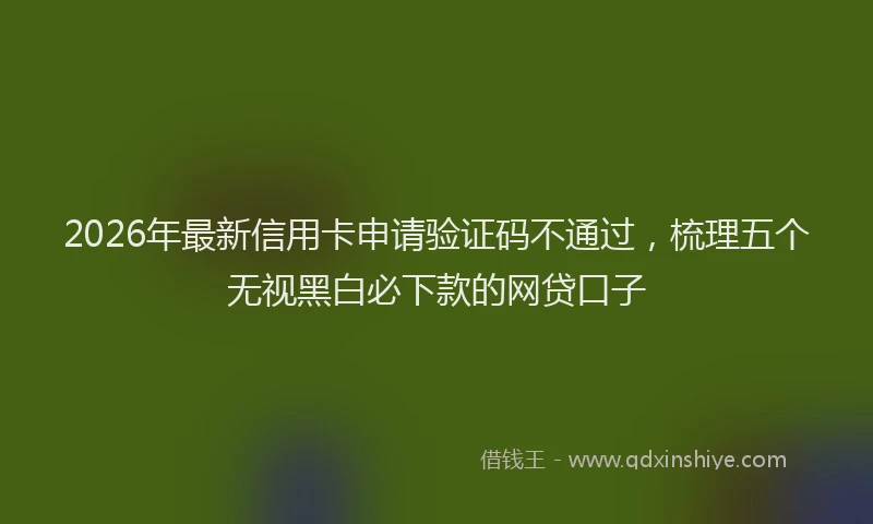 2026年最新信用卡申请验证码不通过，梳理五个无视黑白必下款的网贷口子