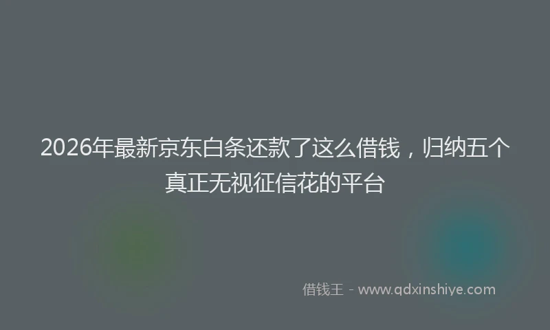 2026年最新京东白条还款了这么借钱，归纳五个真正无视征信花的平台