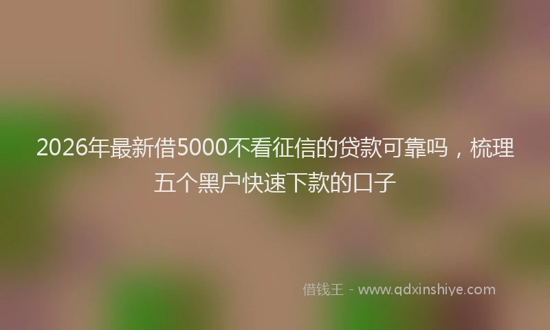 2026年最新借5000不看征信的贷款可靠吗，梳理五个黑户快速下款的口子