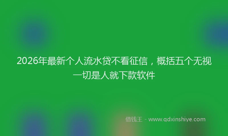 2026年最新个人流水贷不看征信，概括五个无视一切是人就下款软件