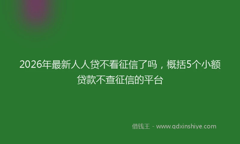 2026年最新人人贷不看征信了吗,概括5个小额贷款不查征信的平台