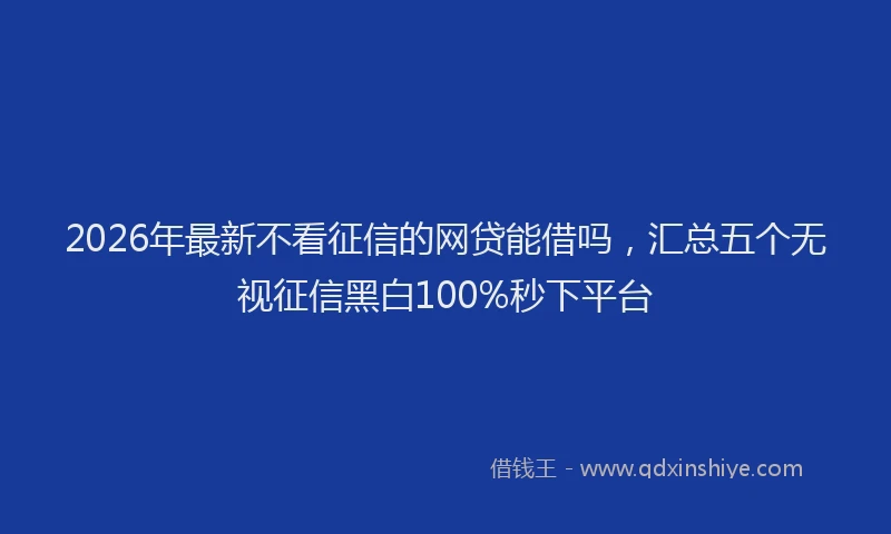 2026年最新不看征信的网贷能借吗，汇总五个无视征信黑白100%秒下平台