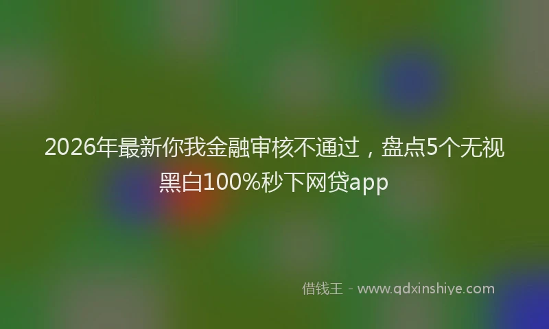 2026年最新你我金融审核不通过,盘点5个无视黑白100%秒下网贷app