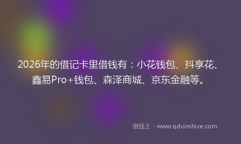 2026年的借记卡里借钱有：小花钱包、抖享花、鑫易Pro+钱包、森泽商城、京东金融等。