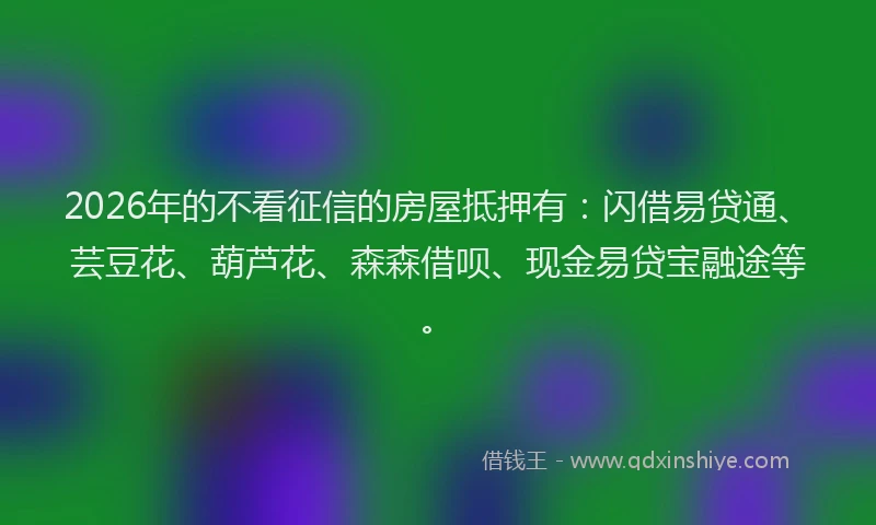 2026年的不看征信的房屋抵押有：闪借易贷通、芸豆花、葫芦花、森森借呗、现金易贷宝融途等。