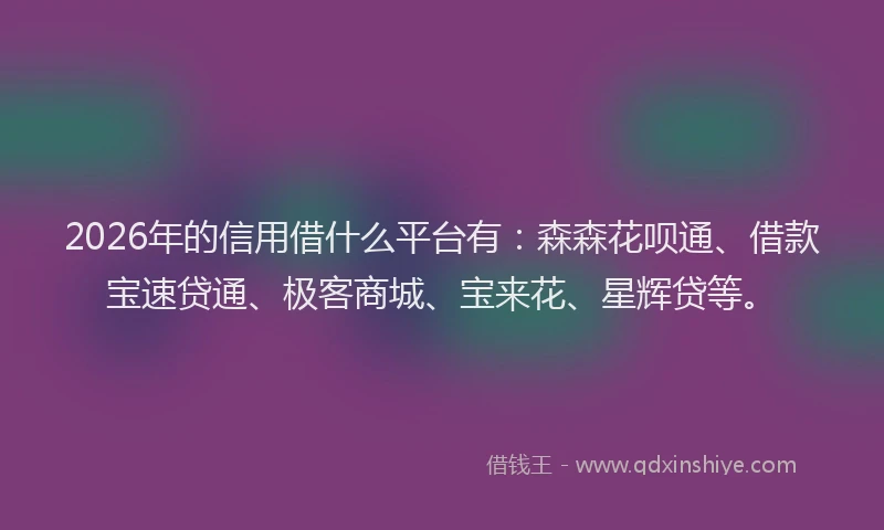 2026年的信用借什么平台有：森森花呗通、借款宝速贷通、极客商城、宝来花、星辉贷等。