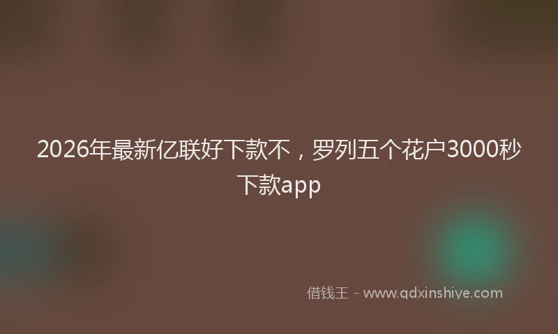 2026年最新亿联好下款不,罗列五个花户3000秒下款app