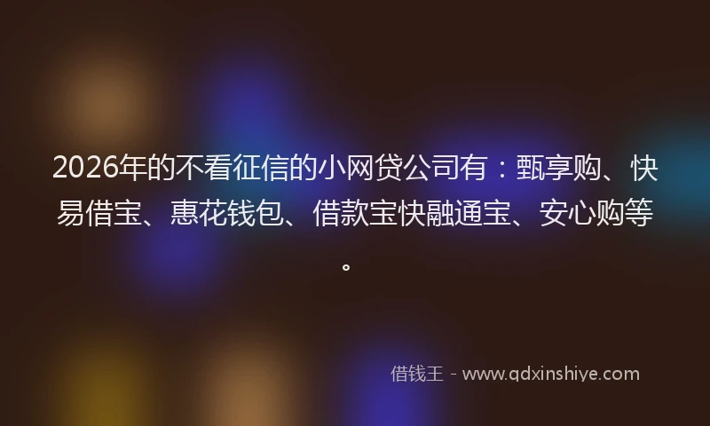2026年的不看征信的小网贷公司有:甄享购、快易借宝、惠花钱包、借款宝快融通宝、安心购等。