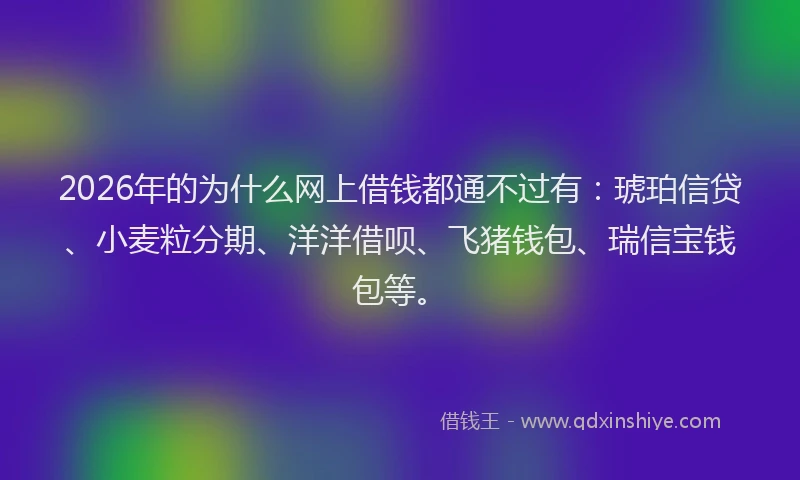 2026年的为什么网上借钱都通不过有：琥珀信贷、小麦粒分期、洋洋借呗、飞猪钱包、瑞信宝钱包等。
