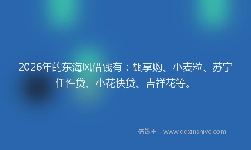 2026年的东海风借钱有：甄享购、小麦粒、苏宁任性贷、小花快贷、吉祥花等。