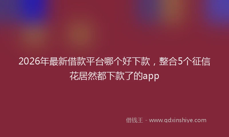 2026年最新借款平台哪个好下款，整合5个征信花居然都下款了的app