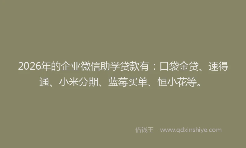 2026年的企业微信助学贷款有:口袋金贷、速得通、小米分期、蓝莓买单、恒小花等。