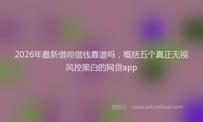 2026年最新借呗借钱靠谱吗，概括五个真正无视风控黑白的网贷app