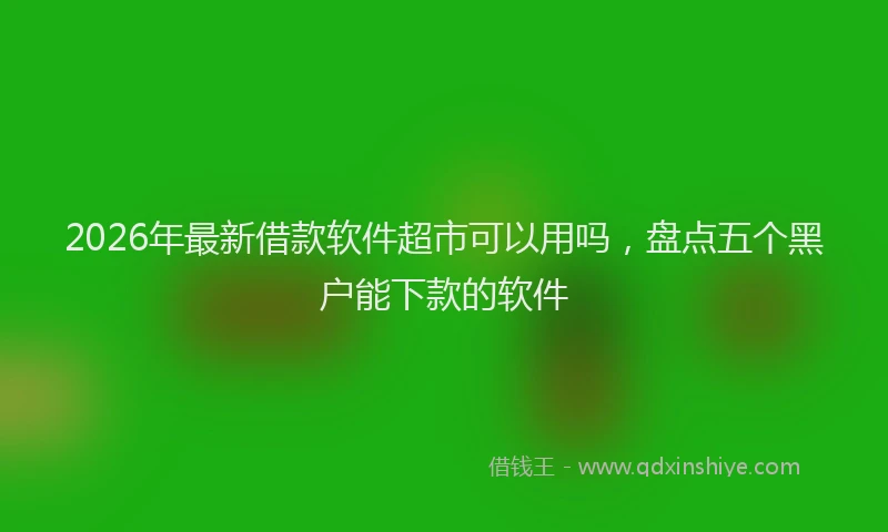 2026年最新借款软件超市可以用吗，盘点五个黑户能下款的软件