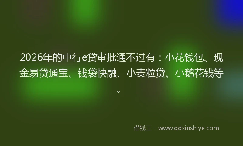2026年的中行e贷审批通不过有:小花钱包、现金易贷通宝、钱袋快融、小麦粒贷、小鹅花钱等。