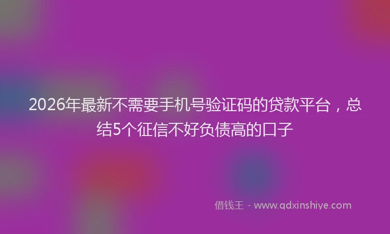 2026年最新不需要手机号验证码的贷款平台，总结5个征信不好负债高的口子
