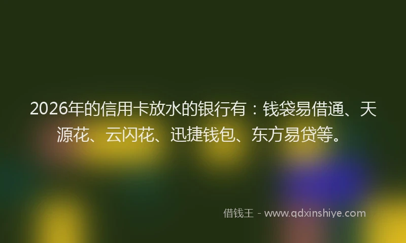 2026年的信用卡放水的银行有:钱袋易借通、天源花、云闪花、迅捷钱包、东方易贷等。
