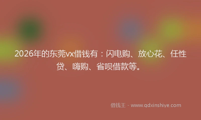 2026年的东莞vx借钱有：闪电购、放心花、任性贷、嗨购、省呗借款等。