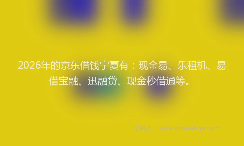 2026年的京东借钱宁夏有：现金易、乐租机、易借宝融、迅融贷、现金秒借通等。