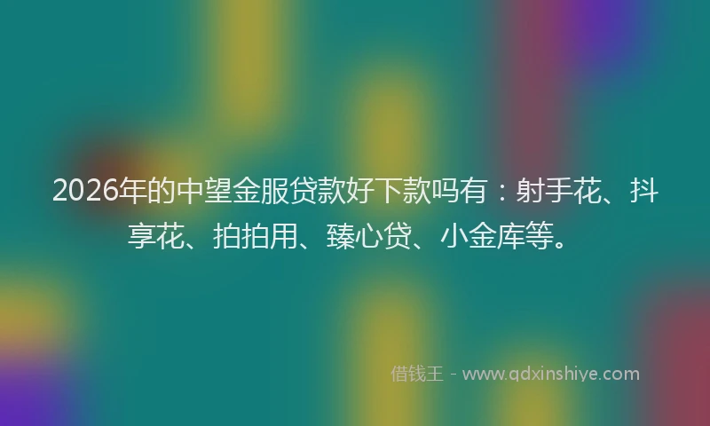 2026年的中望金服贷款好下款吗有:射手花、抖享花、拍拍用、臻心贷、小金库等。