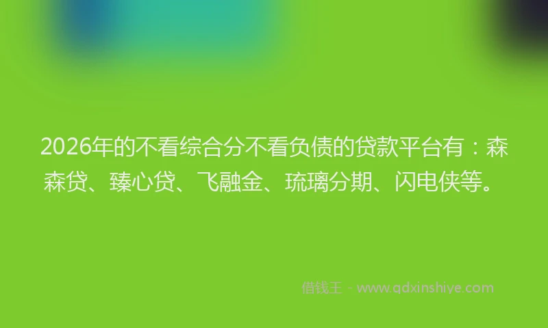 2026年的不看综合分不看负债的贷款平台有：森森贷、臻心贷、飞融金、琉璃分期、闪电侠等。