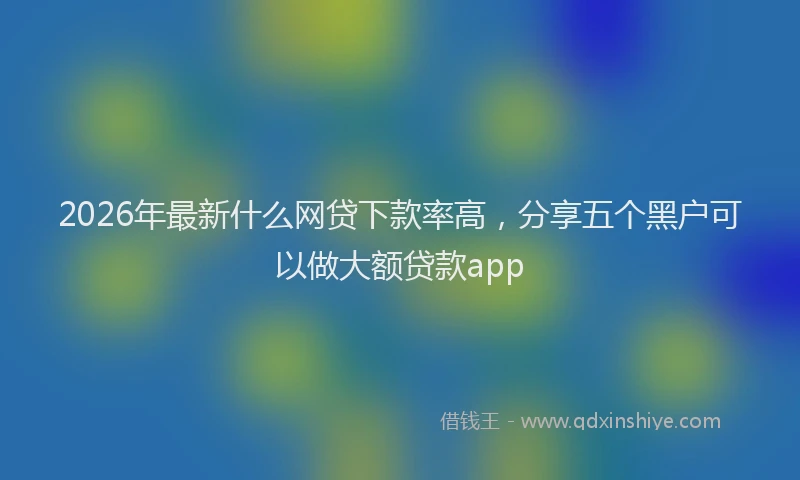 2026年最新什么网贷下款率高,分享五个黑户可以做大额贷款app