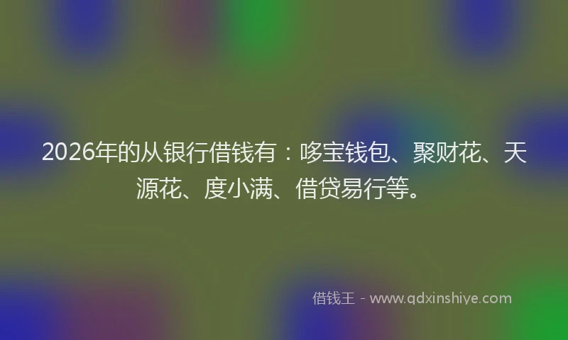 2026年的从银行借钱有：哆宝钱包、聚财花、天源花、度小满、借贷易行等。
