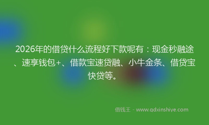2026年的借贷什么流程好下款呢有：现金秒融途、速享钱包+、借款宝速贷融、小牛金条、借贷宝快贷等。