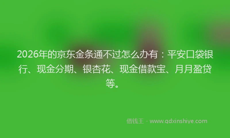 2026年的京东金条通不过怎么办有：平安口袋银行、现金分期、银杏花、现金借款宝、月月盈贷等。