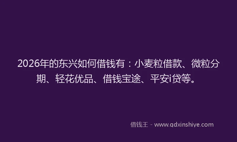 2026年的东兴如何借钱有：小麦粒借款、微粒分期、轻花优品、借钱宝途、平安i贷等。