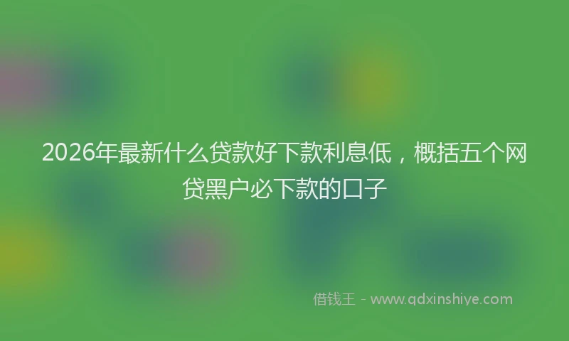 2026年最新什么贷款好下款利息低，概括五个网贷黑户必下款的口子