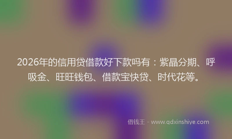 2026年的信用贷借款好下款吗有:紫晶分期、呼吸金、旺旺钱包、借款宝快贷、时代花等。