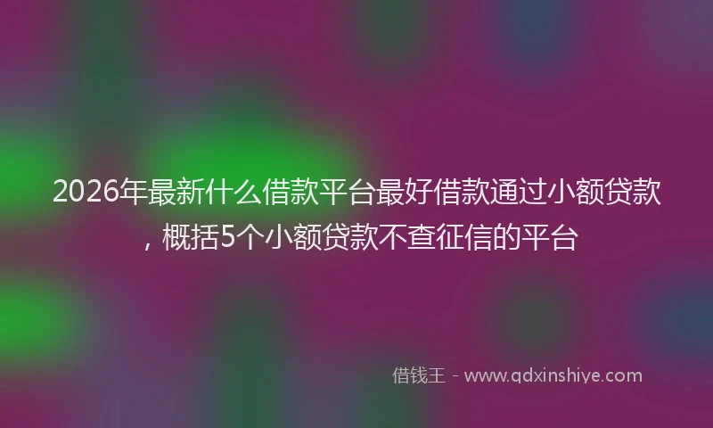 2026年最新什么借款平台最好借款通过小额贷款，概括5个小额贷款不查征信的平台
