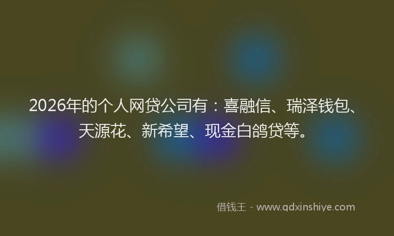 2026年的个人网贷公司有：喜融信、瑞泽钱包、天源花、新希望、现金白鸽贷等。