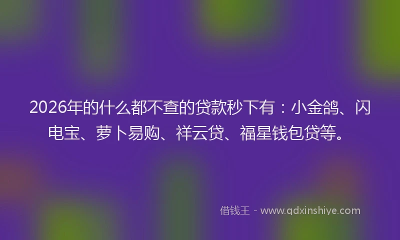 2026年的什么都不查的贷款秒下有：小金鸽、闪电宝、萝卜易购、祥云贷、福星钱包贷等。
