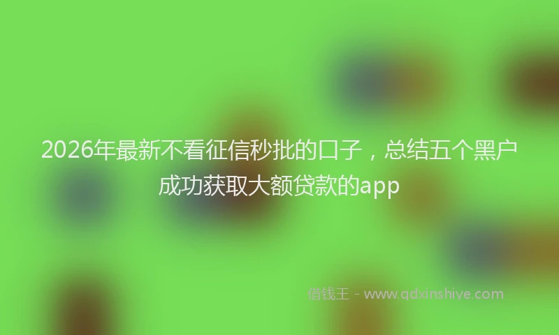 2026年最新不看征信秒批的口子，总结五个黑户成功获取大额贷款的app