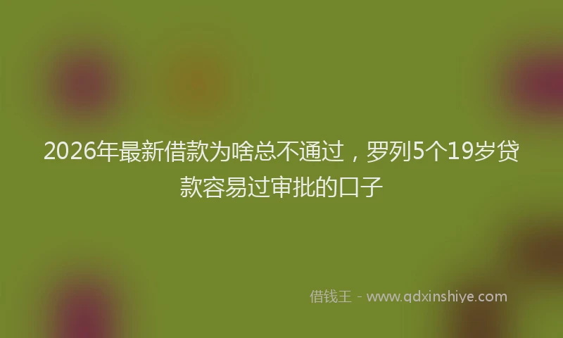 2026年最新借款为啥总不通过，罗列5个19岁贷款容易过审批的口子