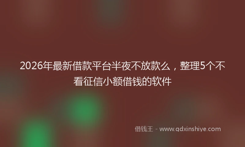 2026年最新借款平台半夜不放款么,整理5个不看征信小额借钱的软件