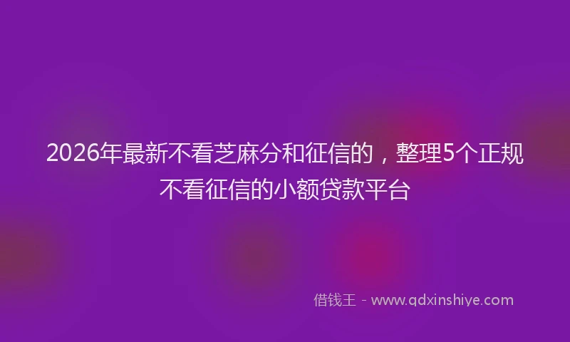 2026年最新不看芝麻分和征信的，整理5个正规不看征信的小额贷款平台