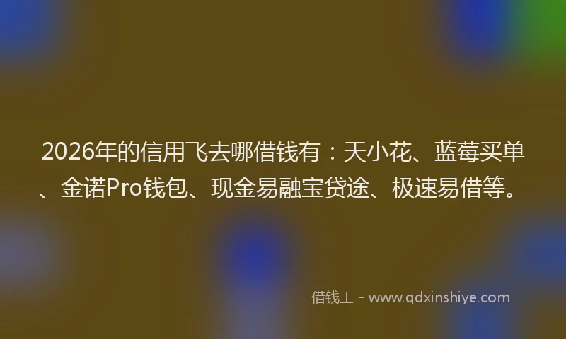 2026年的信用飞去哪借钱有：天小花、蓝莓买单、金诺Pro钱包、现金易融宝贷途、极速易借等。