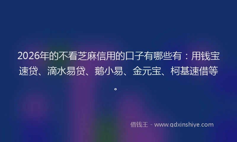 2026年的不看芝麻信用的口子有哪些有：用钱宝速贷、滴水易贷、鹅小易、金元宝、柯基速借等。