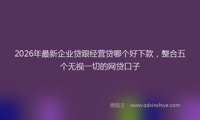 2026年最新企业贷跟经营贷哪个好下款,整合五个无视一切的网贷口子