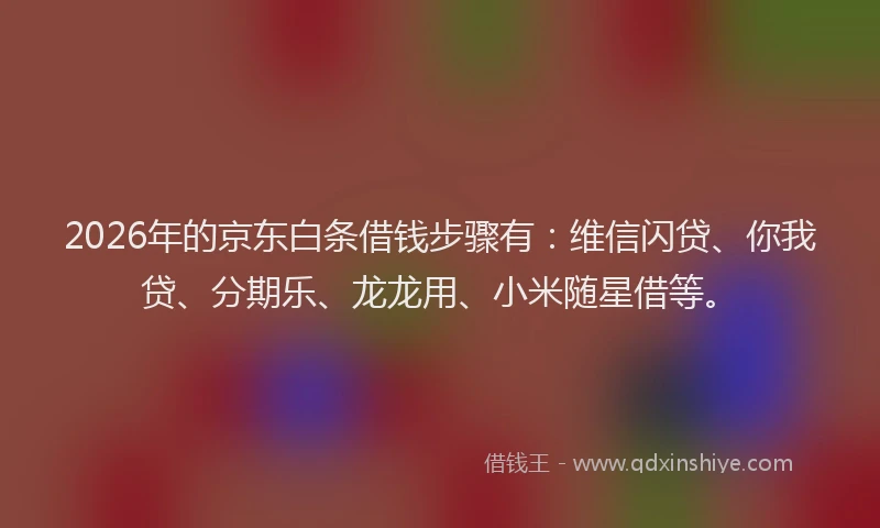2026年的京东白条借钱步骤有:维信闪贷、你我贷、分期乐、龙龙用、小米随星借等。
