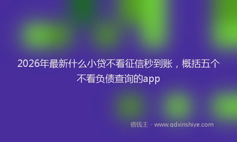 2026年最新什么小贷不看征信秒到账，概括五个不看负债查询的app