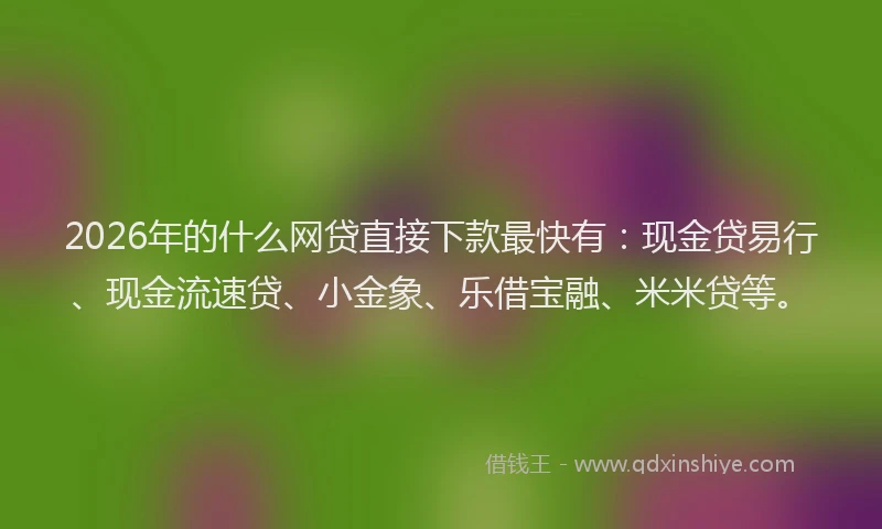 2026年的什么网贷直接下款最快有:现金贷易行、现金流速贷、小金象、乐借宝融、米米贷等。